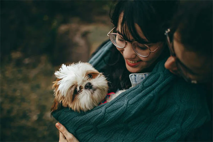 Starfish Care Guide: 7 Essential Tips for Healthy Marine Pets